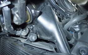 HONDA NX400 2024 NC65