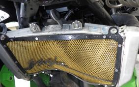 KAWASAKI NINJA 400 2019 EX400G