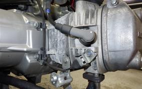 HONDA CROSS CUB 110 2021 JA10