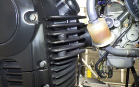 KAWASAKI 250TR 2022 BJ250F