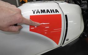YAMAHA XSR900 2024 RN80J