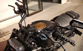 HARLEY  HARLEY RH1250S 2022 ZC4