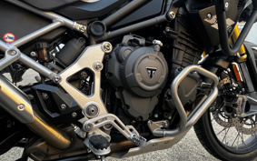 TRIUMPH TIGER 1200 RALLY PRO 2024 TAP20V