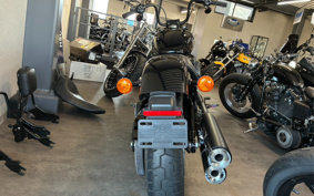 HARLEY FXBB 2020 YJJ