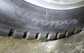 HONDA RTL250S 2012 RTL250SF