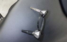 KAWASAKI NINJA 1000 SX 2021 ZXT02K