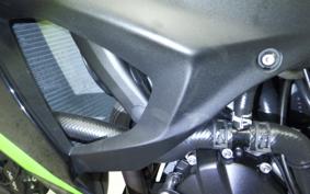KAWASAKI NINJA ZX-6R A 2025 ZX636J