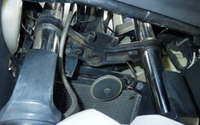 KAWASAKI NINJA 250 EX250L