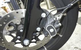 HARLEY XL1200NS 2019