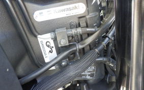 KAWASAKI Z1000 Gen.5 2019 ZXT00W