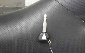 KAWASAKI VULCAN 650 SA 2020 EN650G