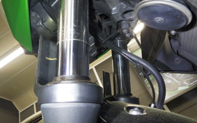 KAWASAKI Z300 2022