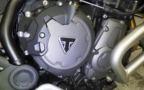TRIUMPH TIGER900 RALLYARACO 2024