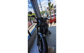 HARLEY FXDR114 2019 YVK