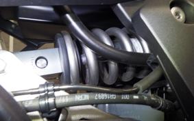 KAWASAKI NINJA 1000SX 2024 ZXT02K