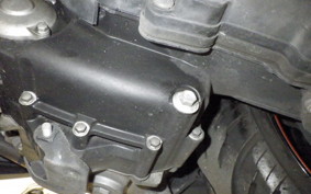 YAMAHA MAXAM 250 1987 SG21J