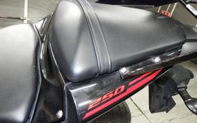 YAMAHA YZF-R25 2021 RG10J