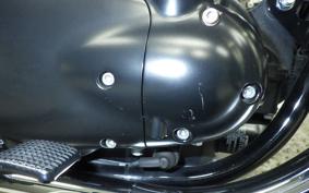 KAWASAKI W800 CAFE 2021 EJ800B