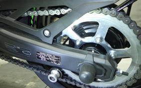 KAWASAKI ZX-4RR 2023 ZX400P