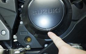 SUZUKI GSX250 R