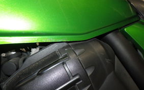 KAWASAKI ZRX1200 D 2013 ZRT20D