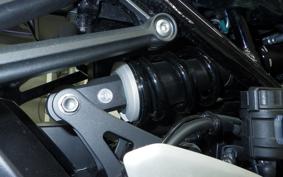 KAWASAKI Z900RS 2024