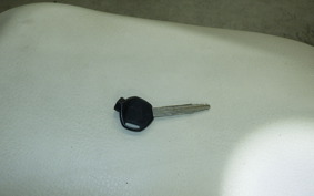 HONDA ZOOMER 2024 AF58