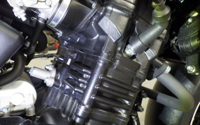 SUZUKI Vｽﾄﾛｰﾑ250A 2010