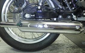 KAWASAKI W800 STREET 2021 EJ800B