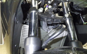 HONDA CBR250R A 2010 MC41