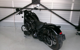 HARLEY FLSS 2017 JS9