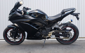 KAWASAKI NINJA 250 EX250L