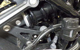 KAWASAKI Z900RS 2024 ZR900K
