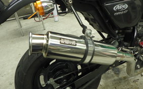 HONDA APE 50 AC16