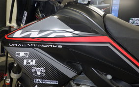 YAMAHA WR250X 2022 DG15J