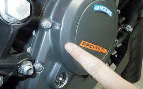 KTM 250 DUKE 2009