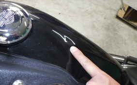 HARLEY FXDL 1580 2014