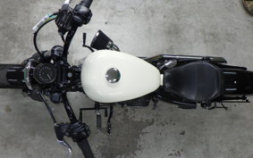 HARLEY XL1200X 2020