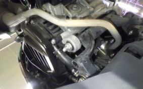 HONDA TACT Basket 2023 AF79