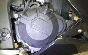 KAWASAKI Z250 2023 ER250C