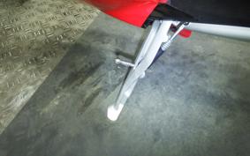 DUCATI DUCATI パニガーレV4S 2024