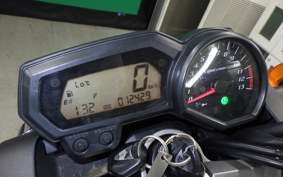 YAMAHA FZ1 FAZER 2009 RN21J