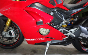 DUCATI PANIGA-REV4S 2020 DA00J