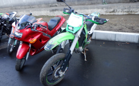 KAWASAKI KLX250 SR LX250E