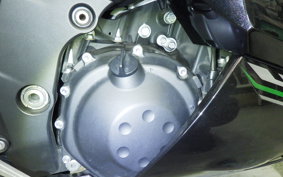 KAWASAKI ZX 1400 NINJA R A 2013