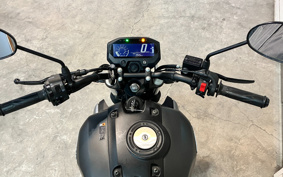 YAMAHA FZ-X RG73