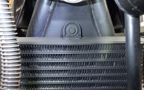 KAWASAKI ZEPHYR 750 2025 ZR750C