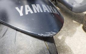 YAMAHA MT-09 2024 RN87J