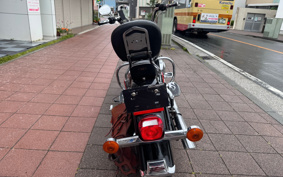 HARLEY FLSTC 2006 BJY