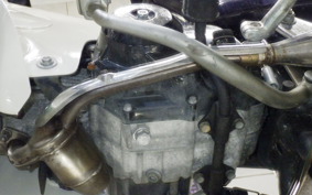 HONDA C50 SUPER CUB 2019 AA01